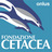 Fondazione Cetacea Onlus - Riccione