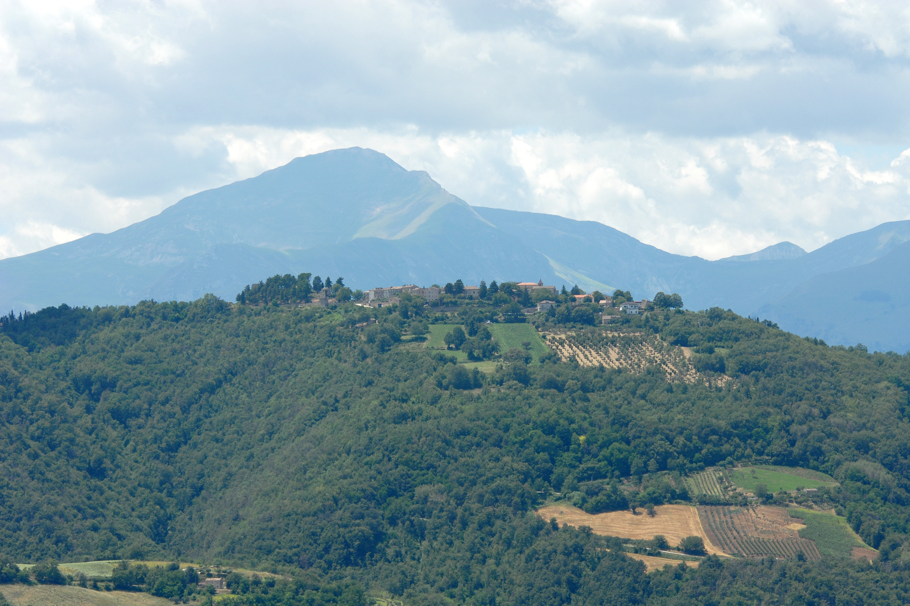 Bosco di Smerillo