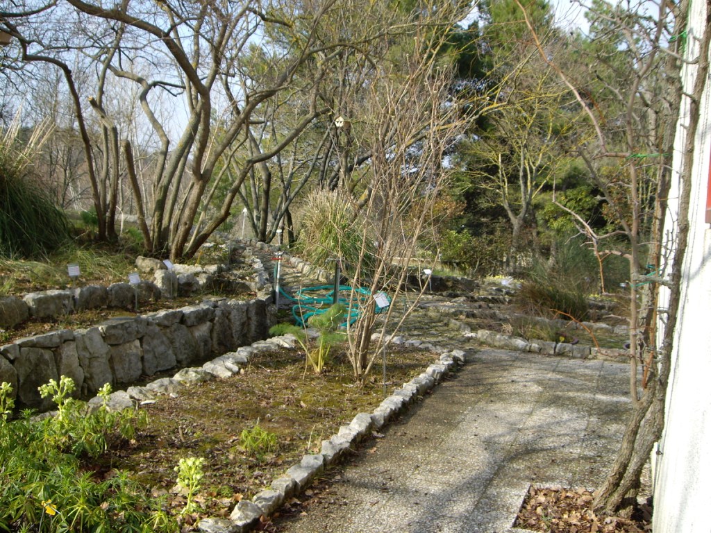 Giardino