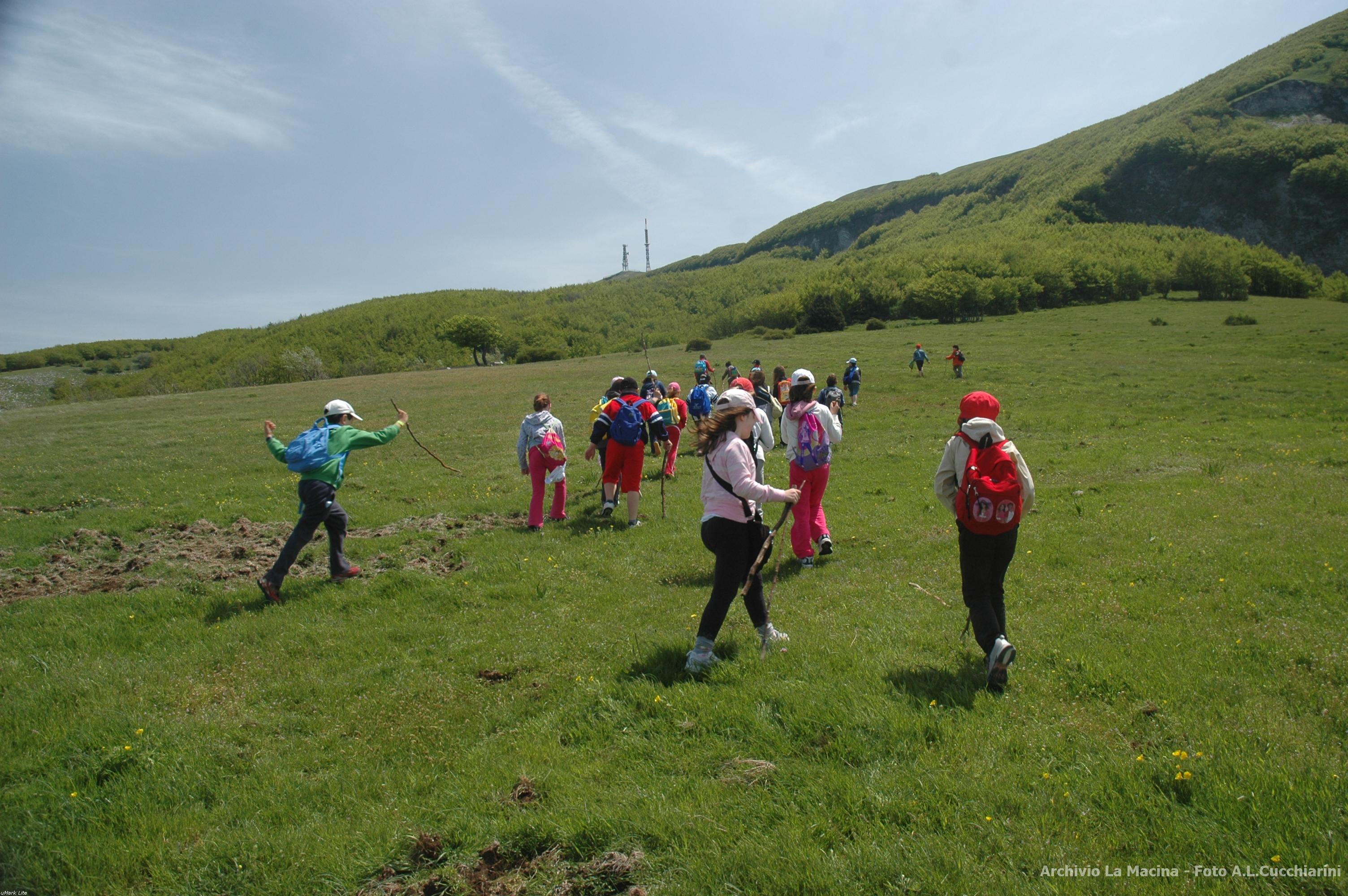 Trekking