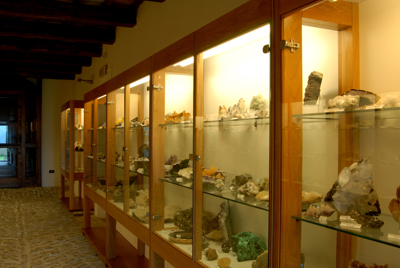 Museo dei fossili