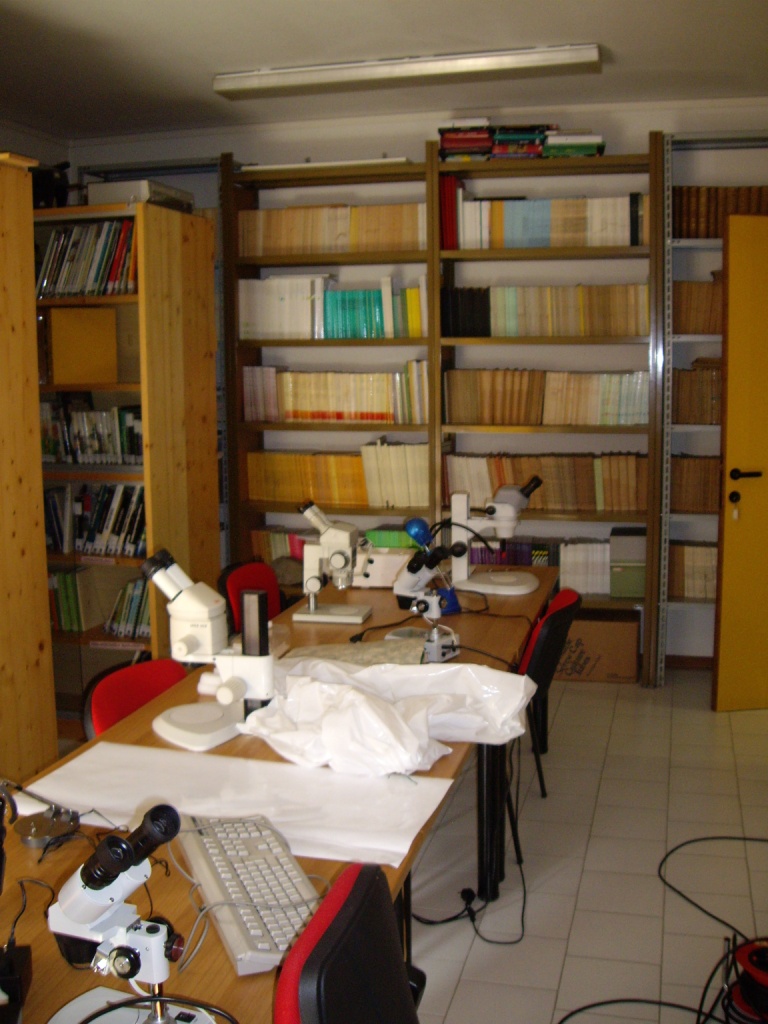 Biblioteca