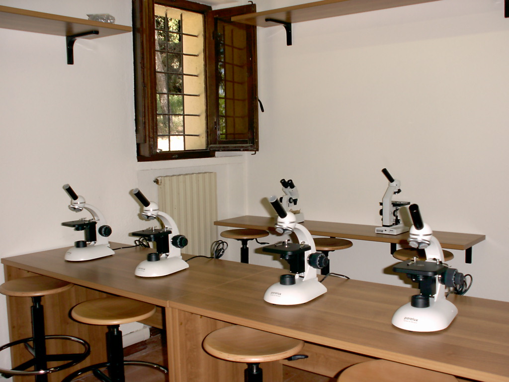 Laboratorio