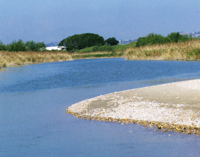 Foce del fiume Tronto